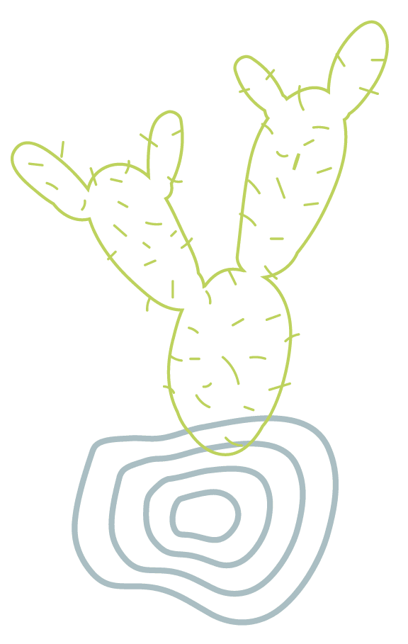elemento-decorativo