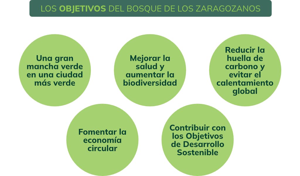 Objetivos bosque zaragozanos