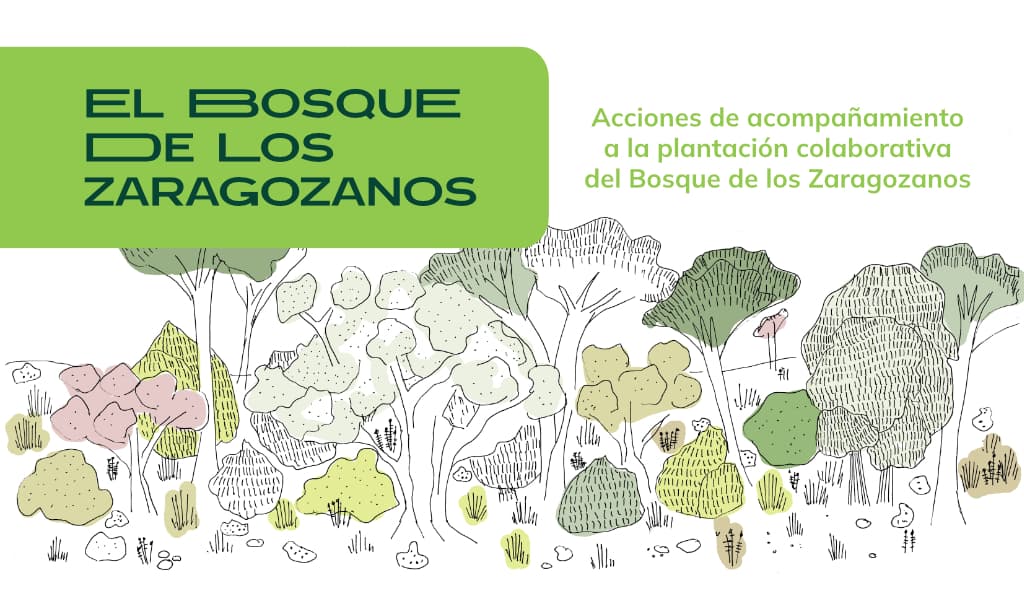 Bosque de los zaragozanos